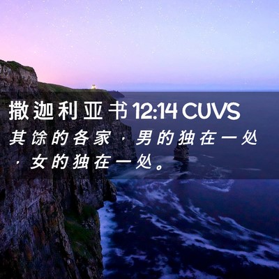 Picture 02 - 撒 迦 利 亚 书 12:14 CUVS - 其 馀 的 各 家 ， 男 的 独 在 一 处 - Bible Verse Picture