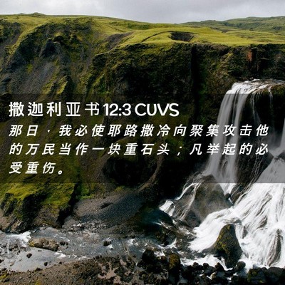 Picture 02 - 撒 迦 利 亚 书 12:3 CUVS - 那 日 ， 我 必 使 耶 路 撒 冷 向 聚 - Bible Verse Picture