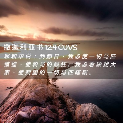 Picture 02 - 撒 迦 利 亚 书 12:4 CUVS - 耶 和 华 说 ： 到 那 日 ， 我 必 使 - Bible Verse Picture