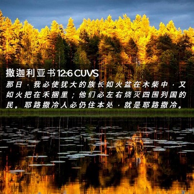 Picture 02 - 撒 迦 利 亚 书 12:6 CUVS - 那 日 ， 我 必 使 犹 大 的 族 长 如 - Bible Verse Picture