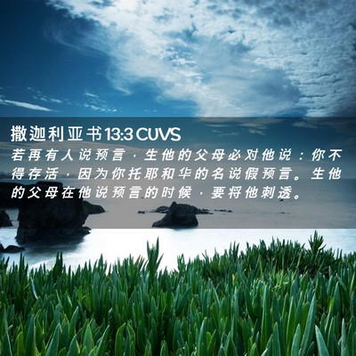 Picture 02 - 撒 迦 利 亚 书 13:3 CUVS - 若 再 有 人 说 预 言 ， 生 他 的 父 - Bible Verse Picture