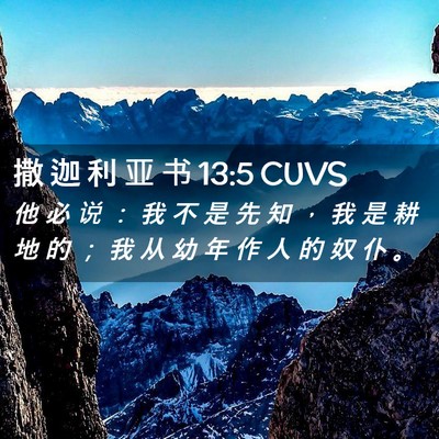 Picture 02 - 撒 迦 利 亚 书 13:5 CUVS - 他 必 说 ： 我 不 是 先 知 ， 我 是 - Bible Verse Picture