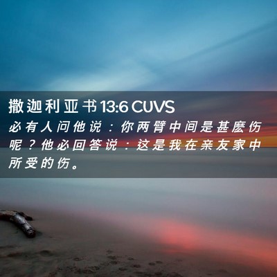 Picture 02 - 撒 迦 利 亚 书 13:6 CUVS - 必 有 人 问 他 说 ： 你 两 臂 中 间 - Bible Verse Picture