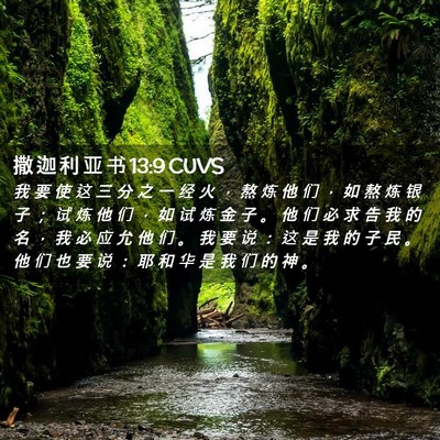 Picture 02 - 撒 迦 利 亚 书 13:9 CUVS - 我 要 使 这 三 分 之 一 经 火 ， 熬 - Bible Verse Picture