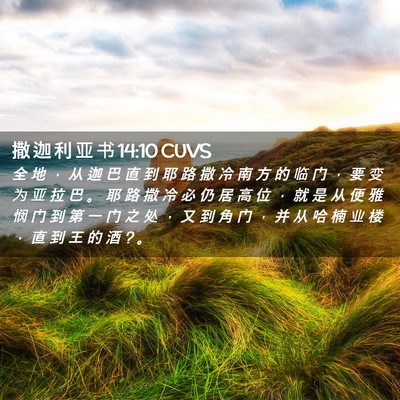 Picture 02 - 撒 迦 利 亚 书 14:10 CUVS - 全 地 ， 从 迦 巴 直 到 耶 路 撒 冷 - Bible Verse Picture