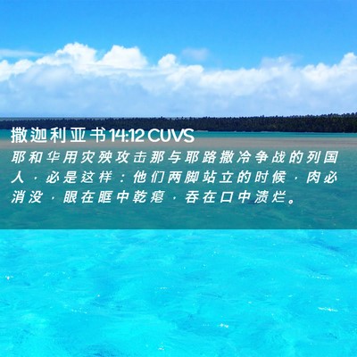 Picture 02 - 撒 迦 利 亚 书 14:12 CUVS - 耶 和 华 用 灾 殃 攻 击 那 与 耶 路 - Bible Verse Picture