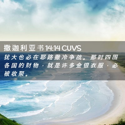 Picture 02 - 撒 迦 利 亚 书 14:14 CUVS - 犹 大 也 必 在 耶 路 撒 冷 争 战 。 - Bible Verse Picture