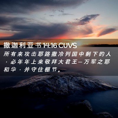 Picture 02 - 撒 迦 利 亚 书 14:16 CUVS - 所 有 来 攻 击 耶 路 撒 冷 列 国 中 - Bible Verse Picture