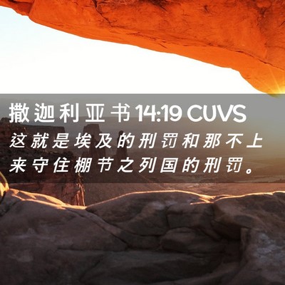Picture 02 - 撒 迦 利 亚 书 14:19 CUVS - 这 就 是 埃 及 的 刑 罚 和 那 不 上 - Bible Verse Picture