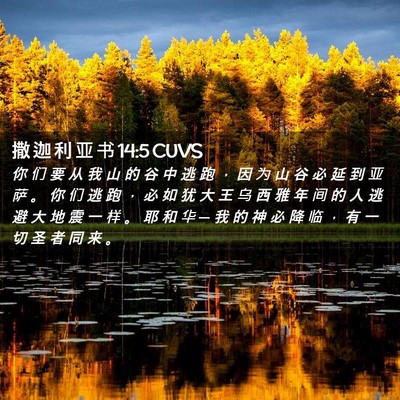 Picture 02 - 撒 迦 利 亚 书 14:5 CUVS - 你 们 要 从 我 山 的 谷 中 逃 跑 ， - Bible Verse Picture