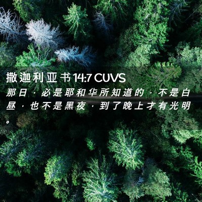 Picture 02 - 撒 迦 利 亚 书 14:7 CUVS - 那 日 ， 必 是 耶 和 华 所 知 道 的 - Bible Verse Picture