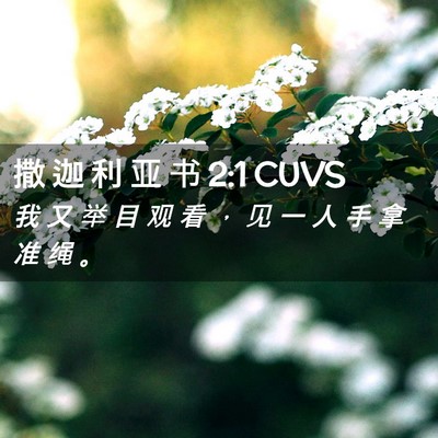 Picture 02 - 撒 迦 利 亚 书 2:1 CUVS - 我 又 举 目 观 看 ， 见 一 人 手 拿 - Bible Verse Picture