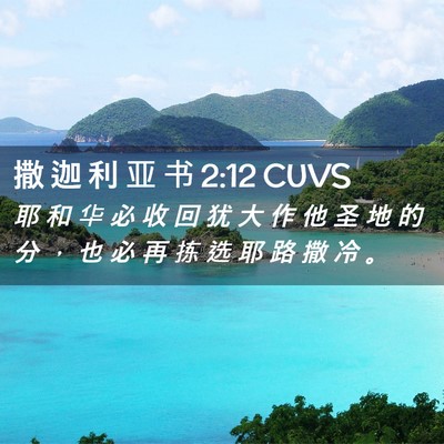 Picture 02 - 撒 迦 利 亚 书 2:12 CUVS - 耶 和 华 必 收 回 犹 大 作 他 圣 地 - Bible Verse Picture