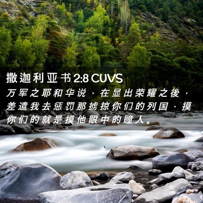 Picture 02 - 撒 迦 利 亚 书 2:8 CUVS - 万 军 之 耶 和 华 说 ， 在 显 出 荣 - Bible Verse Picture
