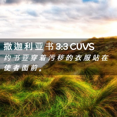 Picture 02 - 撒 迦 利 亚 书 3:3 CUVS - 约 书 亚 穿 着 污 秽 的 衣 服 站 在 - Bible Verse Picture