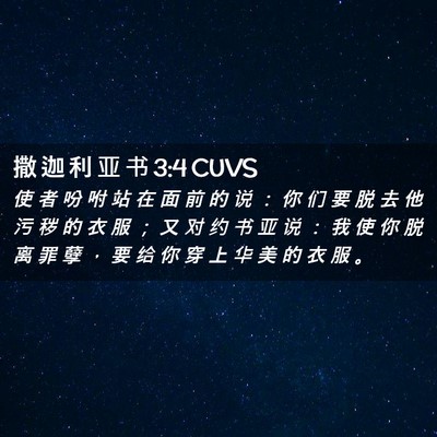 Picture 02 - 撒 迦 利 亚 书 3:4 CUVS - 使 者 吩 咐 站 在 面 前 的 说 ： 你 - Bible Verse Picture