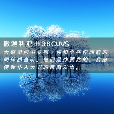 Picture 02 - 撒 迦 利 亚 书 3:8 CUVS - 大 祭 司 约 书 亚 啊 ， 你 和 坐 在 - Bible Verse Picture