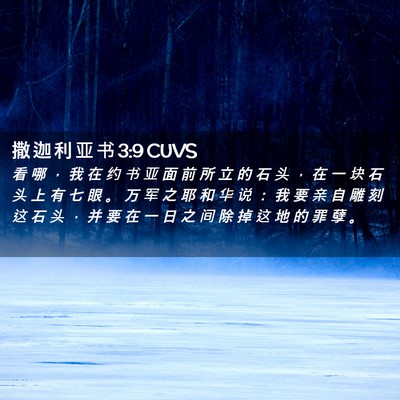 Picture 02 - 撒 迦 利 亚 书 3:9 CUVS - 看 哪 ， 我 在 约 书 亚 面 前 所 立 - Bible Verse Picture