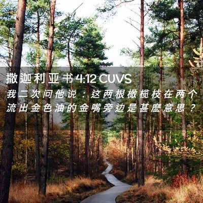 Picture 02 - 撒 迦 利 亚 书 4:12 CUVS - 我 二 次 问 他 说 ： 这 两 根 橄 榄 - Bible Verse Picture