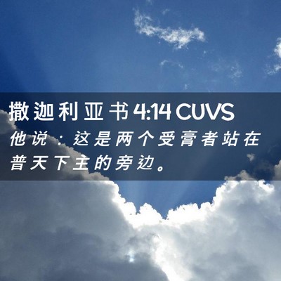 Picture 02 - 撒 迦 利 亚 书 4:14 CUVS - 他 说 ： 这 是 两 个 受 膏 者 站 在 - Bible Verse Picture
