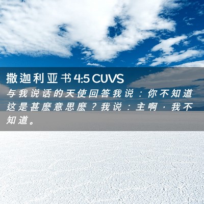 Picture 02 - 撒 迦 利 亚 书 4:5 CUVS - 与 我 说 话 的 天 使 回 答 我 说 ： - Bible Verse Picture