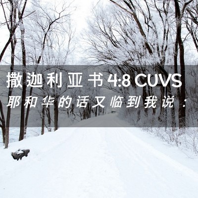 Picture 02 - 撒 迦 利 亚 书 4:8 CUVS - 耶 和 华 的 话 又 临 到 我 说 - Bible Verse Picture