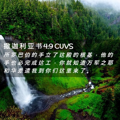 Picture 02 - 撒 迦 利 亚 书 4:9 CUVS - 所 罗 巴 伯 的 手 立 了 这 殿 的 根 - Bible Verse Picture