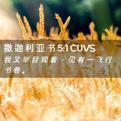 Picture 02 - 撒 迦 利 亚 书 5:1 CUVS - 我 又 举 目 观 看 ， 见 有 一 飞 行 - Bible Verse Picture