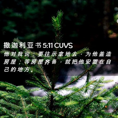 Picture 02 - 撒 迦 利 亚 书 5:11 CUVS - 他 对 我 说 ： 要 往 示 拿 地 去 ， - Bible Verse Picture