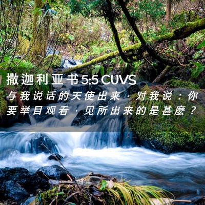 Picture 02 - 撒 迦 利 亚 书 5:5 CUVS - 与 我 说 话 的 天 使 出 来 ， 对 我 - Bible Verse Picture
