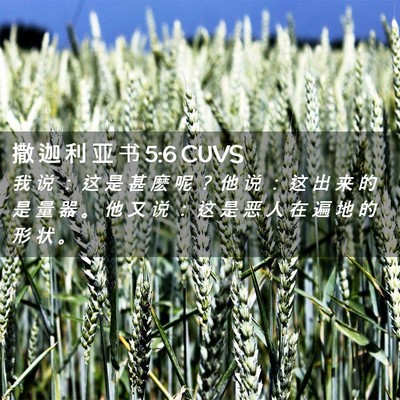 Picture 02 - 撒 迦 利 亚 书 5:6 CUVS - 我 说 ： 这 是 甚 麽 呢 ？ 他 说 ： - Bible Verse Picture