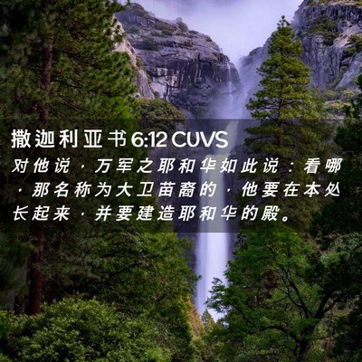 Picture 02 - 撒 迦 利 亚 书 6:12 CUVS - 对 他 说 ， 万 军 之 耶 和 华 如 此 - Bible Verse Picture