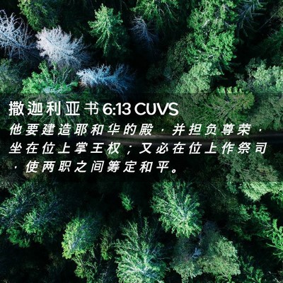 Picture 02 - 撒 迦 利 亚 书 6:13 CUVS - 他 要 建 造 耶 和 华 的 殿 ， 并 担 - Bible Verse Picture