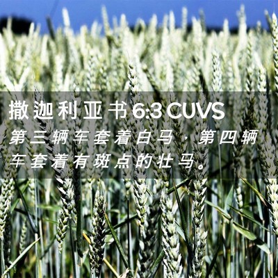 Picture 02 - 撒 迦 利 亚 书 6:3 CUVS - 第 三 辆 车 套 着 白 马 ， 第 四 辆 - Bible Verse Picture