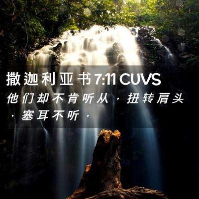 Picture 02 - 撒 迦 利 亚 书 7:11 CUVS - 他 们 却 不 肯 听 从 ， 扭 转 肩 头 - Bible Verse Picture