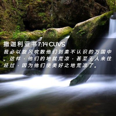 Picture 02 - 撒 迦 利 亚 书 7:14 CUVS - 我 必 以 旋 风 吹 散 他 们 到 素 不 - Bible Verse Picture