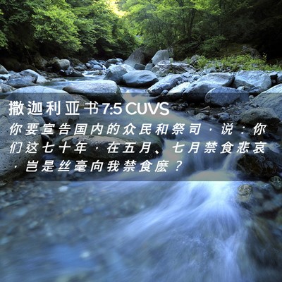 Picture 02 - 撒 迦 利 亚 书 7:5 CUVS - 你 要 宣 告 国 内 的 众 民 和 祭 司 - Bible Verse Picture