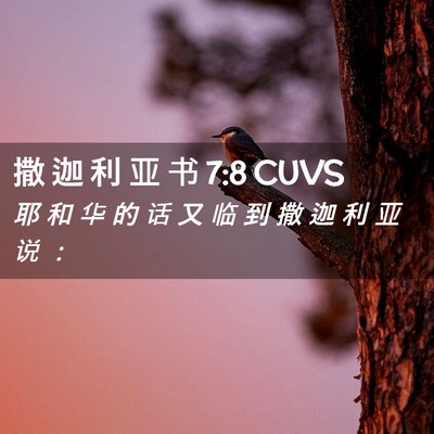 Picture 02 - 撒 迦 利 亚 书 7:8 CUVS - 耶 和 华 的 话 又 临 到 撒 迦 利 亚 - Bible Verse Picture