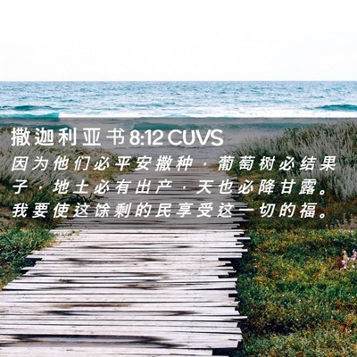 Picture 02 - 撒 迦 利 亚 书 8:12 CUVS - 因 为 他 们 必 平 安 撒 种 ， 葡 萄 - Bible Verse Picture