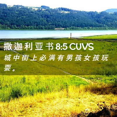 Picture 02 - 撒 迦 利 亚 书 8:5 CUVS - 城 中 街 上 必 满 有 男 孩 女 孩 玩 - Bible Verse Picture
