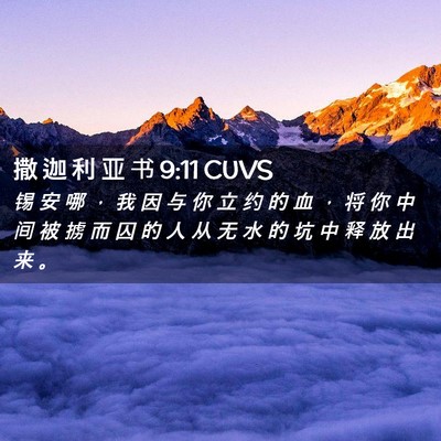 Picture 02 - 撒 迦 利 亚 书 9:11 CUVS - 锡 安 哪 ， 我 因 与 你 立 约 的 血 - Bible Verse Picture