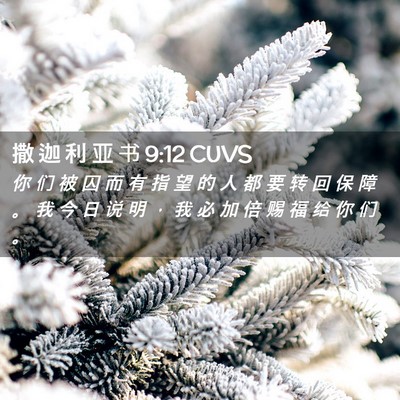 Picture 02 - 撒 迦 利 亚 书 9:12 CUVS - 你 们 被 囚 而 有 指 望 的 人 都 要 - Bible Verse Picture