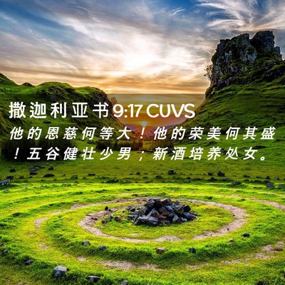 Picture 02 - 撒 迦 利 亚 书 9:17 CUVS - 他 的 恩 慈 何 等 大 ！ 他 的 荣 美 - Bible Verse Picture