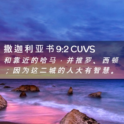 Picture 02 - 撒 迦 利 亚 书 9:2 CUVS - 和 靠 近 的 哈 马 ， 并 推 罗 、 西 - Bible Verse Picture