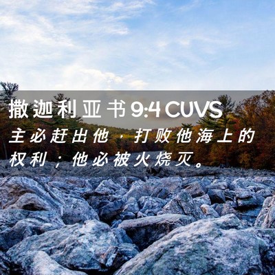 Picture 02 - 撒 迦 利 亚 书 9:4 CUVS - 主 必 赶 出 他 ， 打 败 他 海 上 的 - Bible Verse Picture