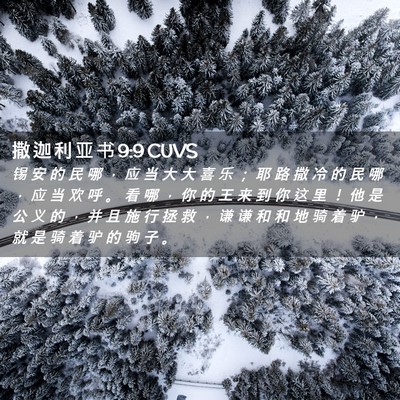 Picture 02 - 撒 迦 利 亚 书 9:9 CUVS - 锡 安 的 民 哪 ， 应 当 大 大 喜 乐 - Bible Verse Picture