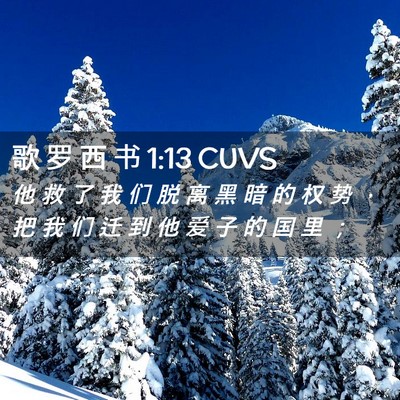 Picture 02 - 歌 罗 西 书 1:13 CUVS - 他 救 了 我 们 脱 离 黑 暗 的 权 势 - Bible Verse Picture