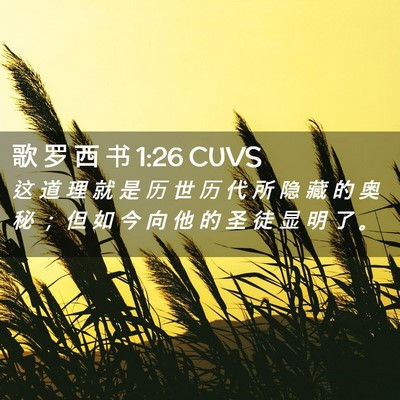 Picture 02 - 歌 罗 西 书 1:26 CUVS - 这 道 理 就 是 历 世 历 代 所 隐 藏 - Bible Verse Picture
