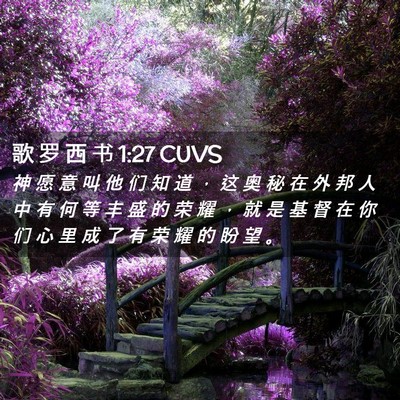 Picture 02 - 歌 罗 西 书 1:27 CUVS - 神 愿 意 叫 他 们 知 道 ， 这 奥 秘 - Bible Verse Picture
