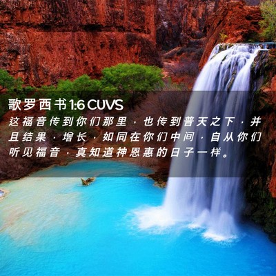 Picture 02 - 歌 罗 西 书 1:6 CUVS - 这 福 音 传 到 你 们 那 里 ， 也 传 - Bible Verse Picture